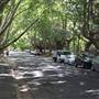 Water St - Pymble