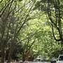 Water St - Pymble