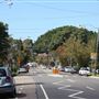 Willoughby residential road