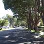 Willoughby neighbourhood
