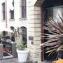ArgyleXchange - The Argyle, The Cut, Sake, El Camino Cantina