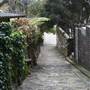 The Rocks - Streetview
