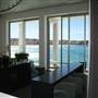 Bondi Icebergs