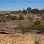 Peak Hill