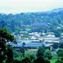 Armidale Area