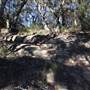 Bushrangers Cave