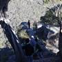 Bushrangers Cave