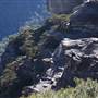 Boars Head Lookout