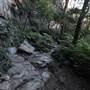 Bardens Lookout