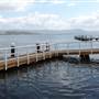 Lake Illawarra South-Skiway Park