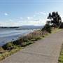 Lake Illawarra North-King St Foreshore & Bob Grabham Jetty