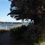 Lake Illawarra North-King St Foreshore & Bob Grabham Jetty
