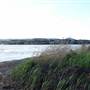 Lake Illawarra North-Purry Burry Avenue