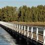 Lake Illawarra North-Purry Burry Avenue