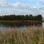 Lake Illawarra North-Budjong Creek Wetland