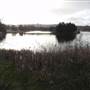 Lake Illawarra North-Budjong Creek Wetland