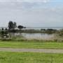 Lake Illawarra North-Budjong Creek Wetland