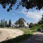 Shellharbour 2
