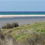 Shellharbour - The Shallows Coastal Reserve
