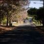 American style - houses & streets