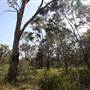 Georges River Nature Reserve