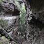 Mermaid's Cave
