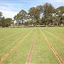 Waratah Athletics Track