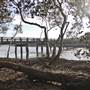 Ash Island Bridge