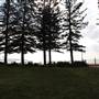 Collaroy Surf Life Saving Club