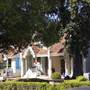 Transvaal Avenue - Double Bay