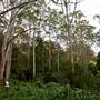 Bradley Reserve