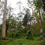 Bradley Reserve