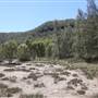 Bushland Creek