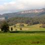 Kangaroo valley
