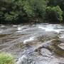 Kangaroo valley