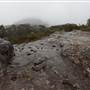 Mt Banks