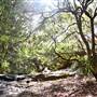 Warraroon Reserve