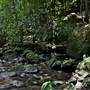 Flatrock Gully