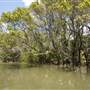 Georges River