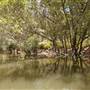 Georges River