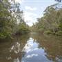 Georges River