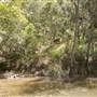 Georges River