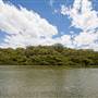 Georges River