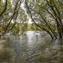 Georges River