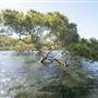 Hacking River