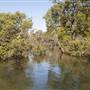 Hacking River