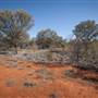 Bourke