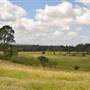 Scenic NSW Equine Centre