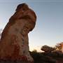 Broken Hill Sculptures Site and Living Desert