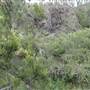 Clarence River Wilderness Lodge